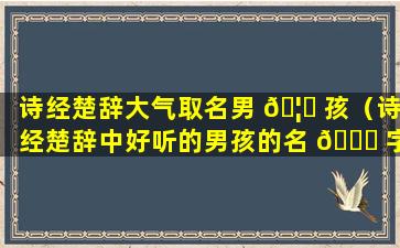 诗经楚辞大气取名男 🦄 孩（诗经楚辞中好听的男孩的名 🐝 字大全）